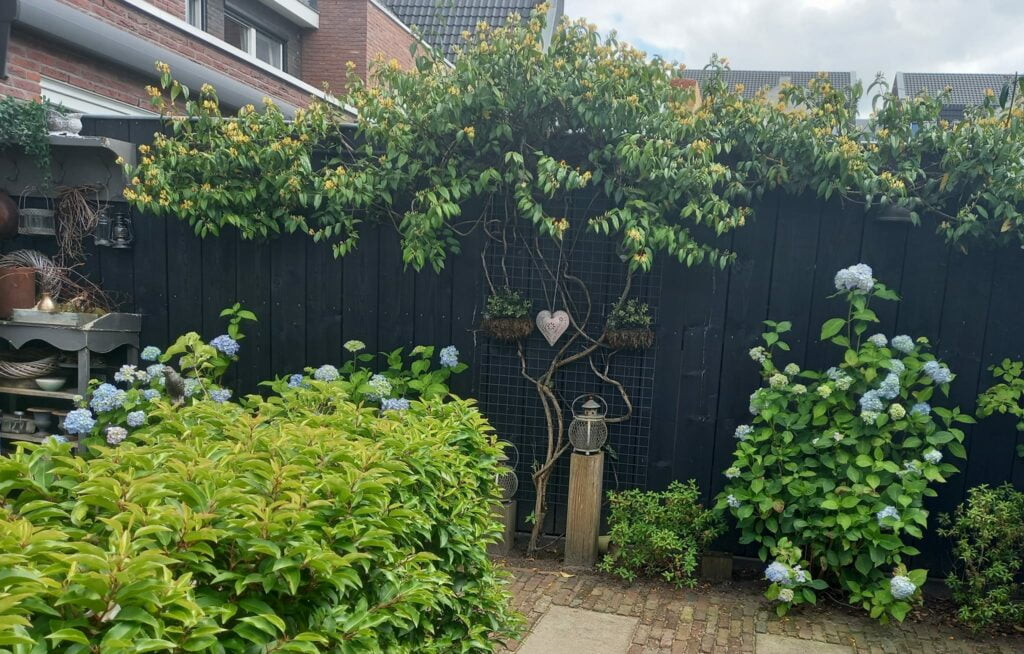 Groenblijvende wintertuin Wooninfluencers.nl