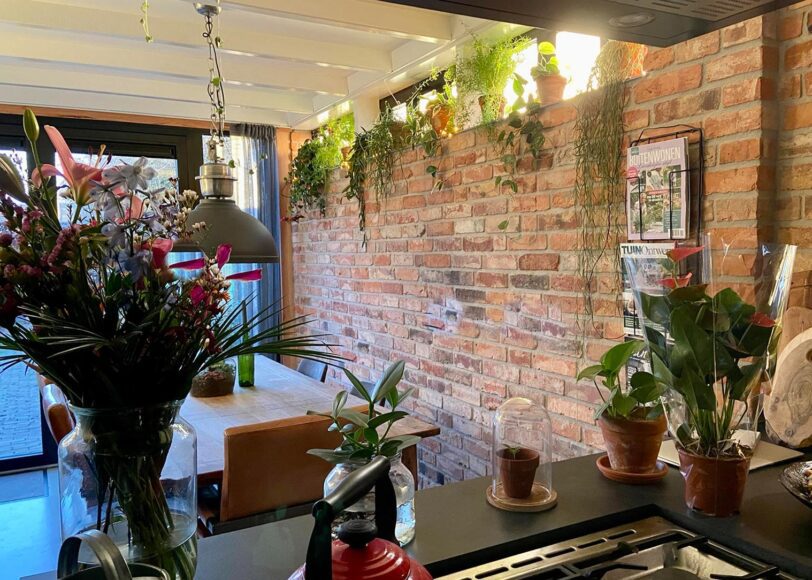 Groen-in-huis-Wooninfluencers