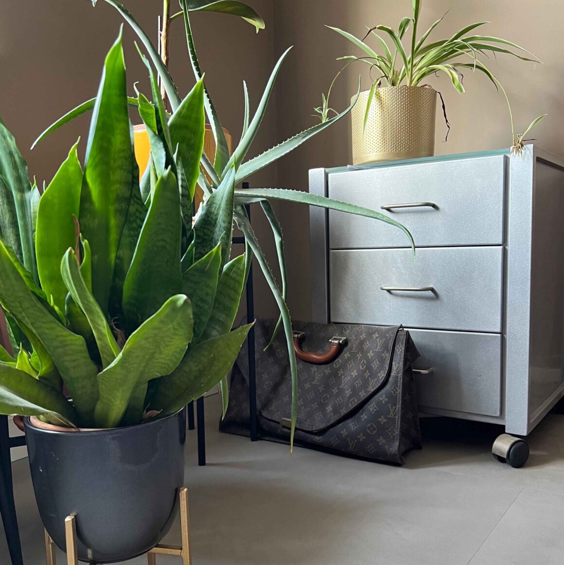 planten in je werkruimte