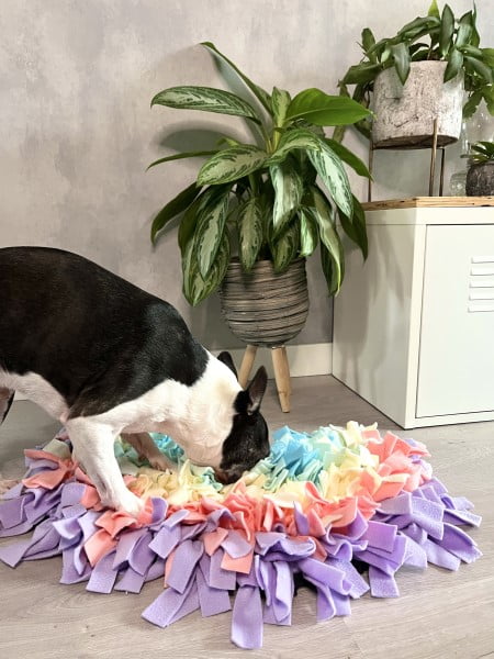 Honden en interieur snuffelmat regenboos