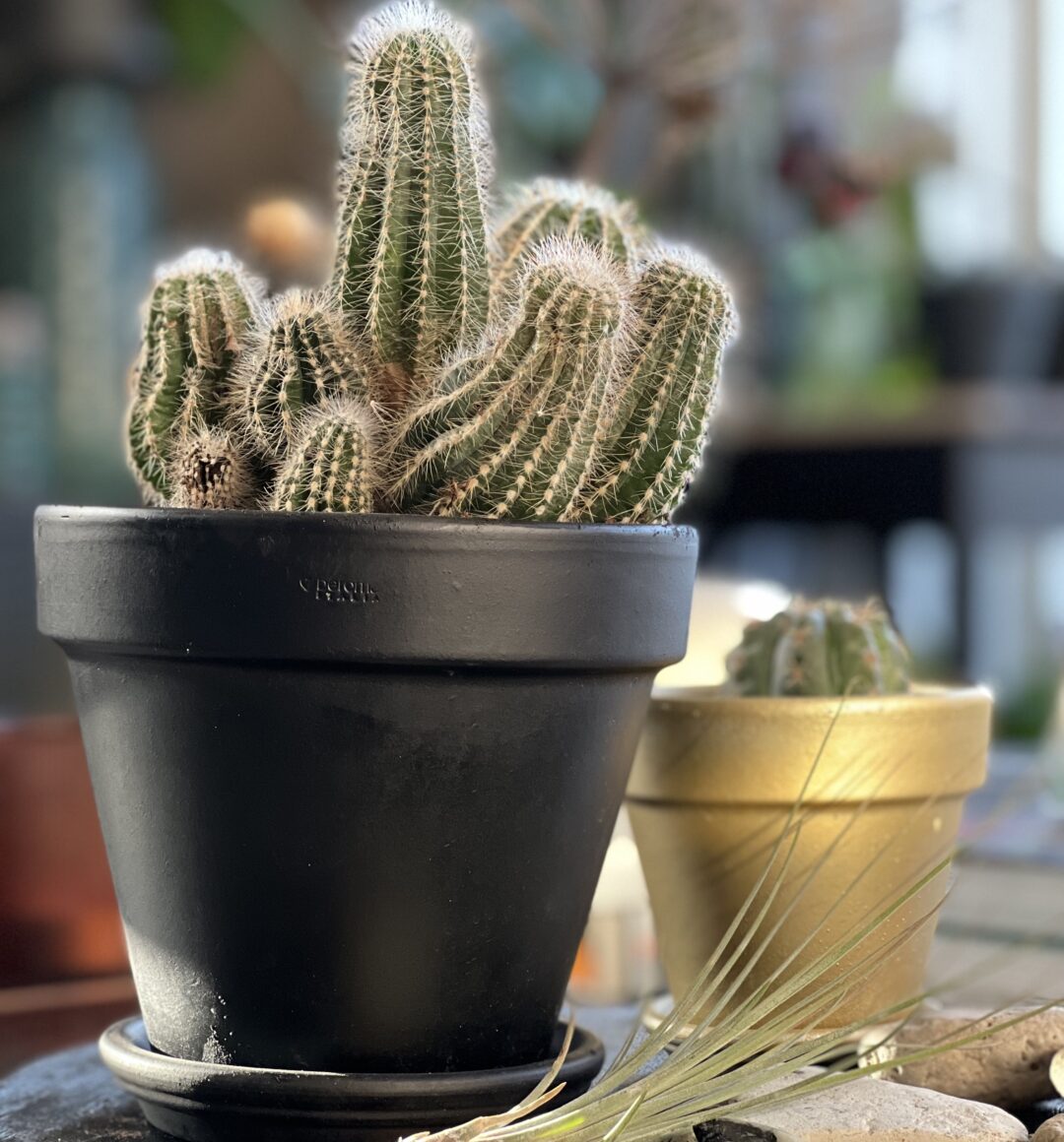 DIY tips spuiten spuitbus