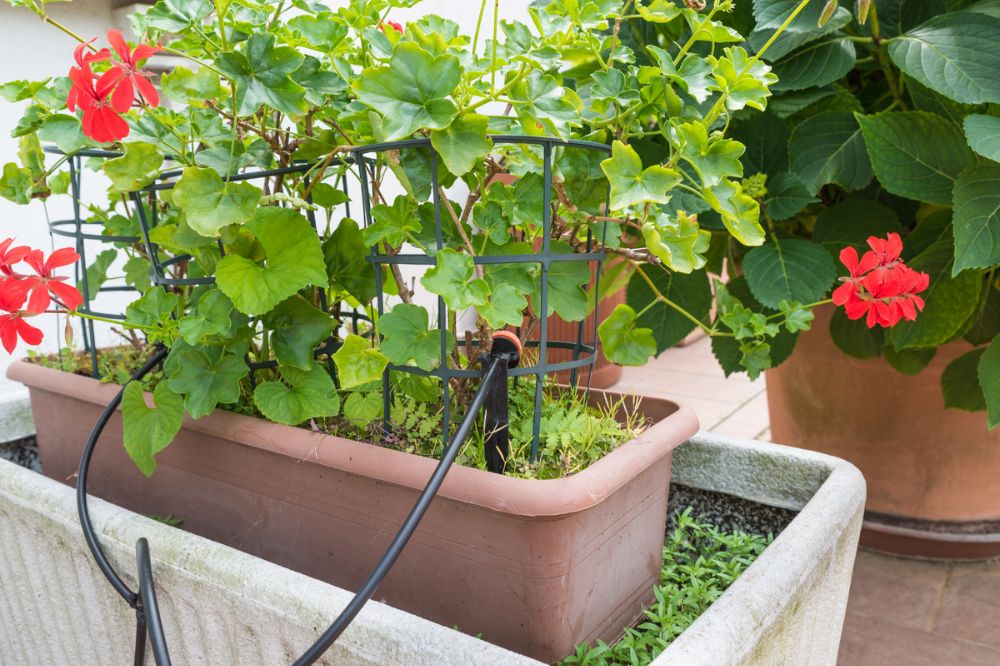 Water drip systeem duurzame tuin