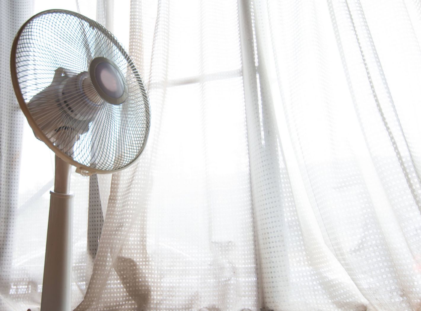 ventilator