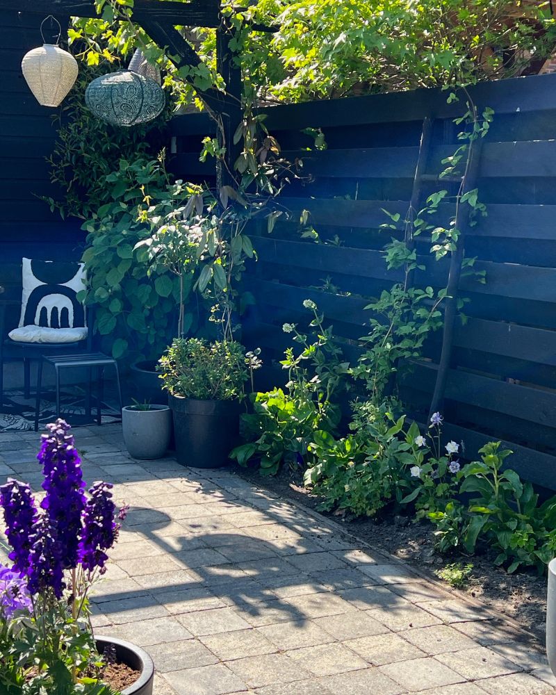 Tuin 4