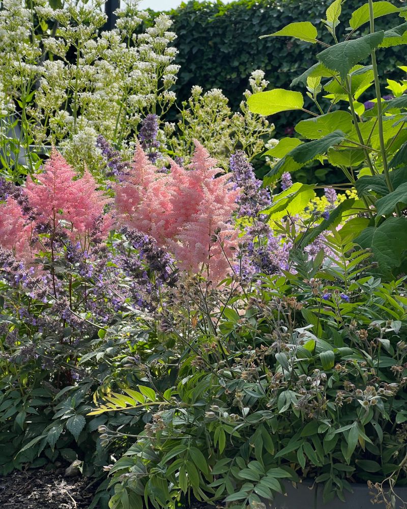 tuin sfeer 3