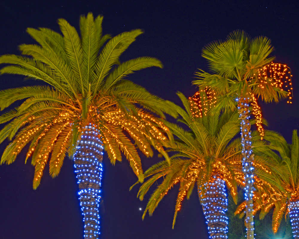 Sfeervolle verlichting