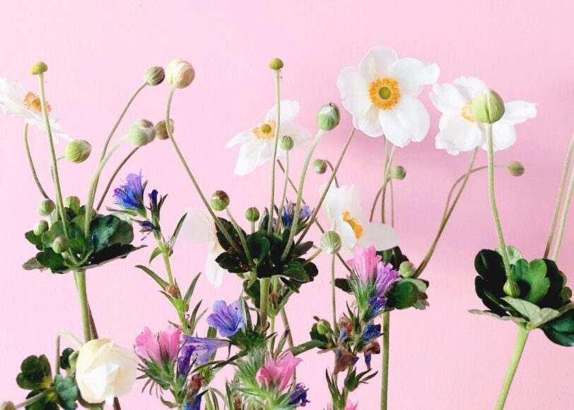 bloemen en tuin