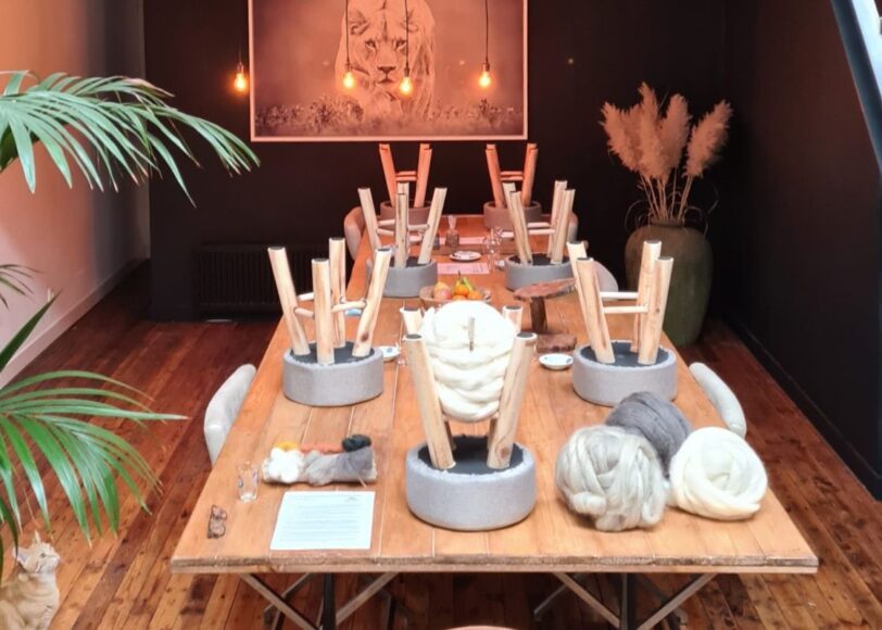 merino wol interieur trend