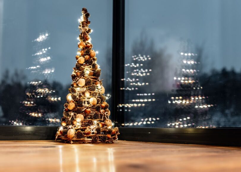 De duurzaamste kerstboom