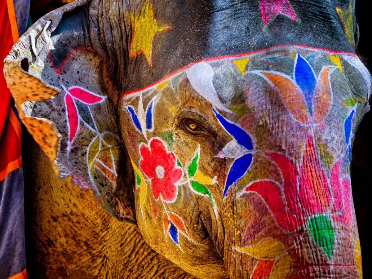 Creëer een jungle thema met een decoratie olifant