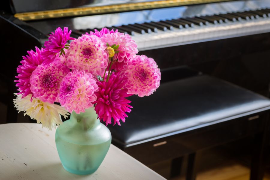 decoratieve bloemen