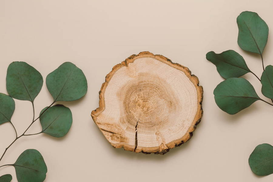 decoratieve bladeren