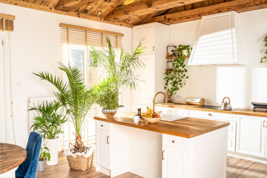 woondecoratie planten