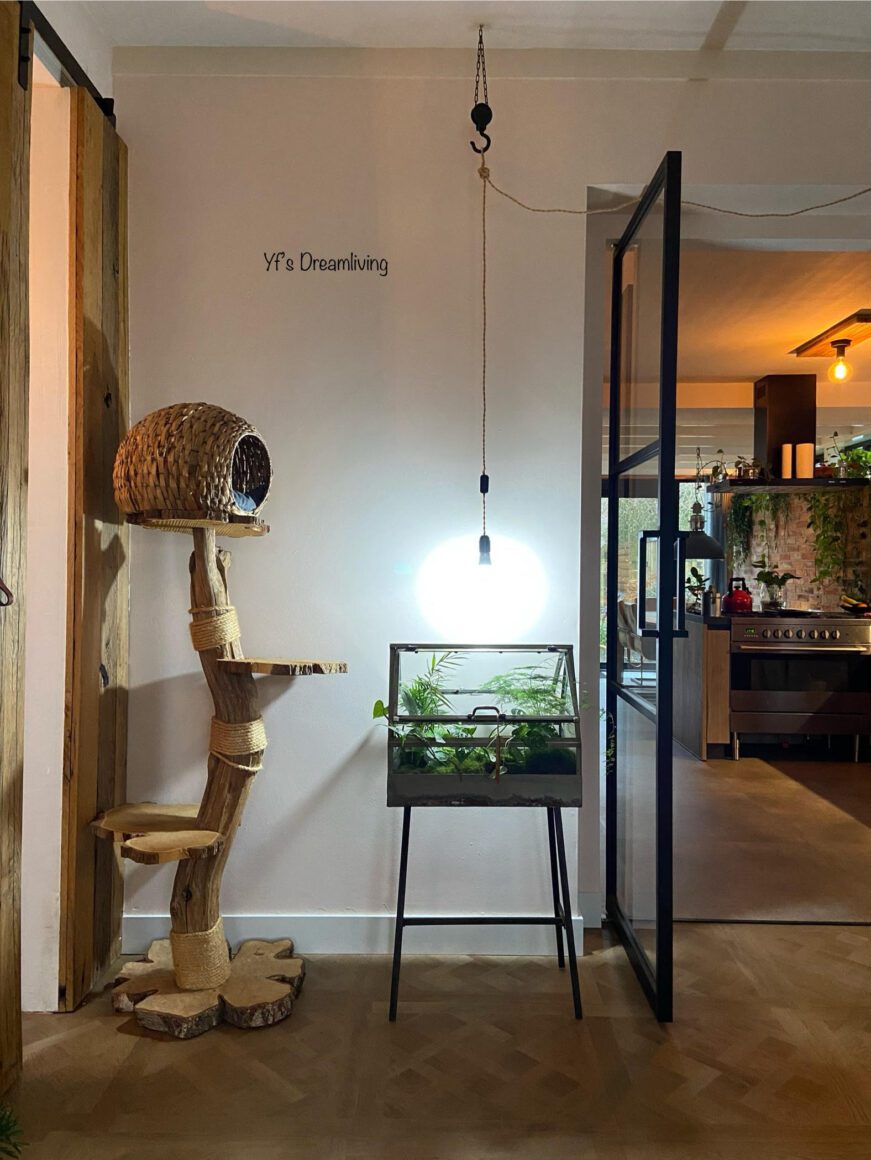 Kleur in huis