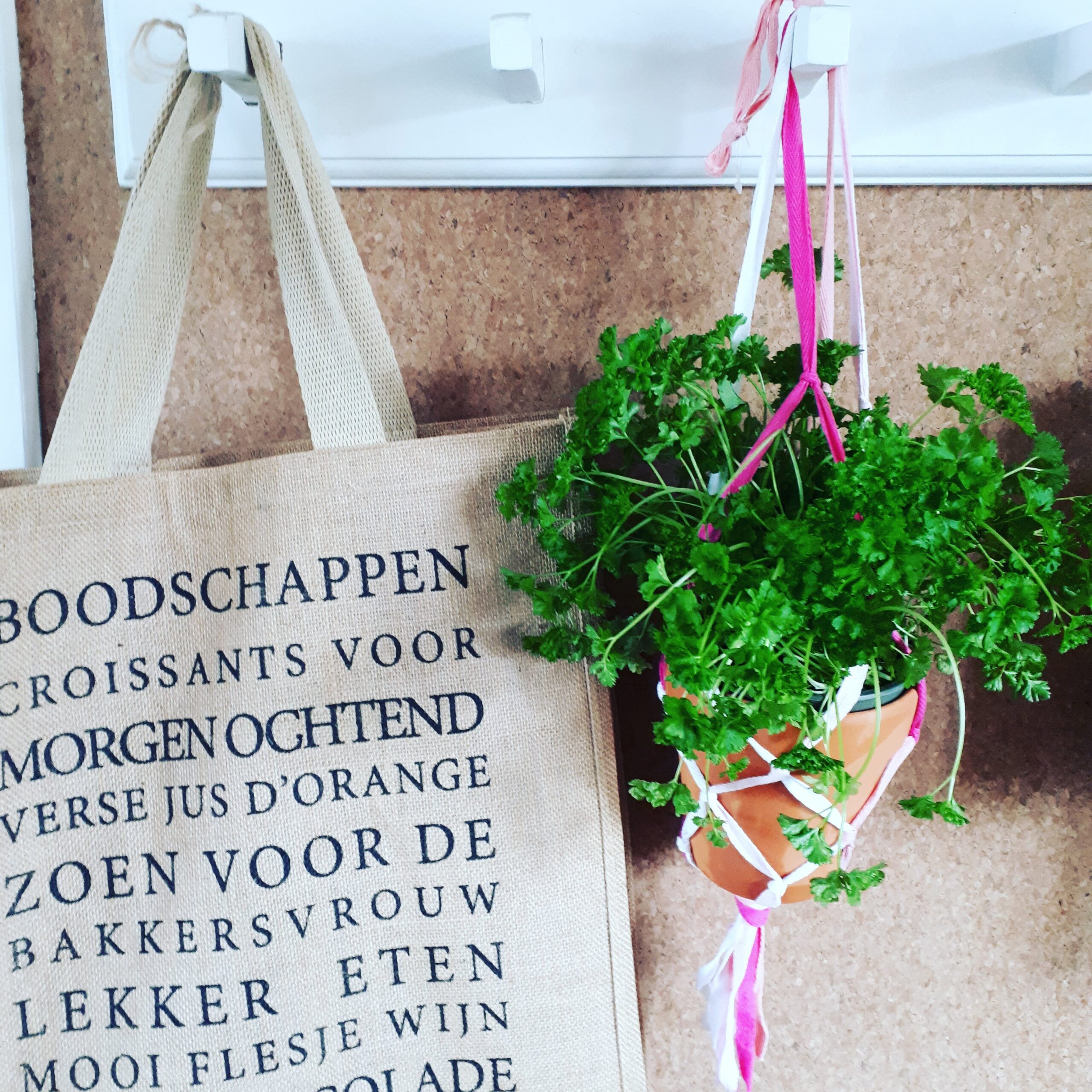 Geur en kleur in je keuken