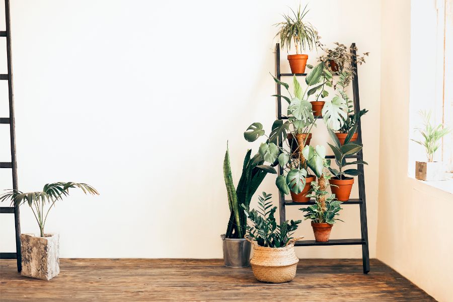 decoratie ladder zwart