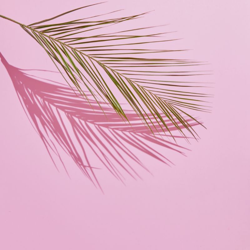 jungle decoratie