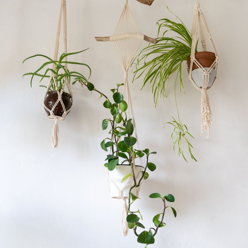 jungle decoratie