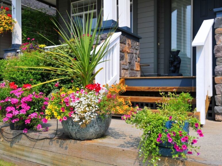 plantenbakken en wandbakken