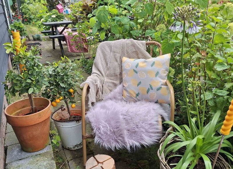Vakantie eigen tuin