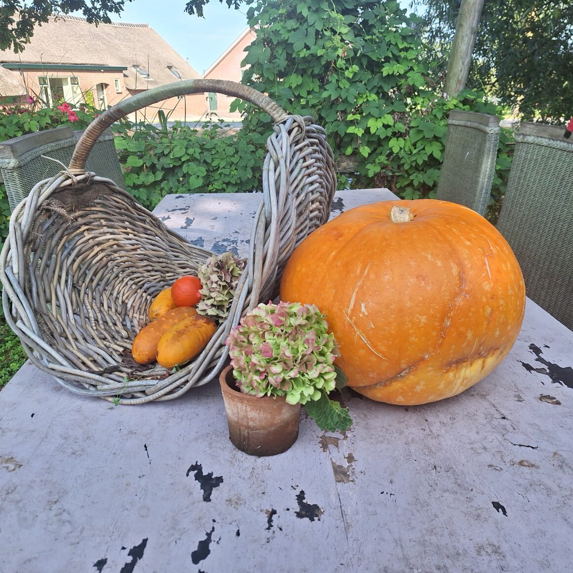 Hogere herfstsferen