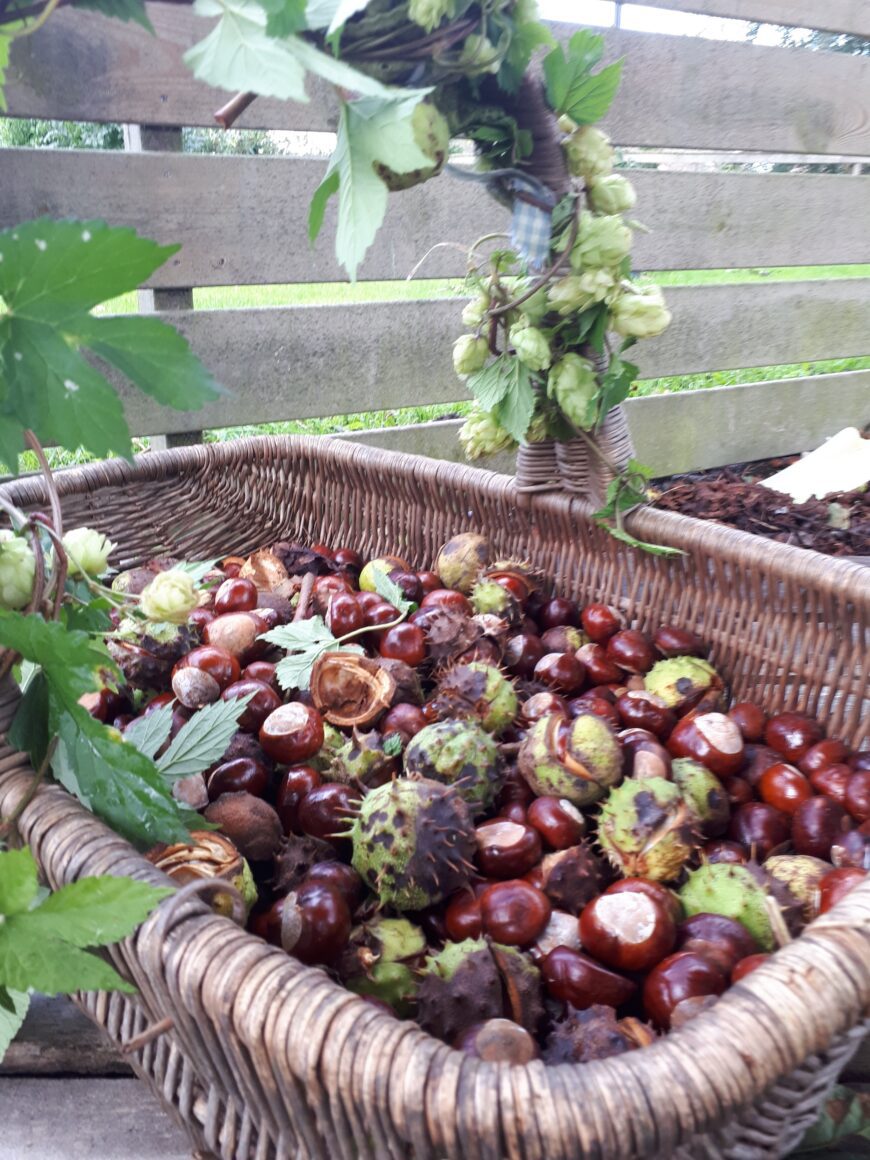 Hogere herfstsferen