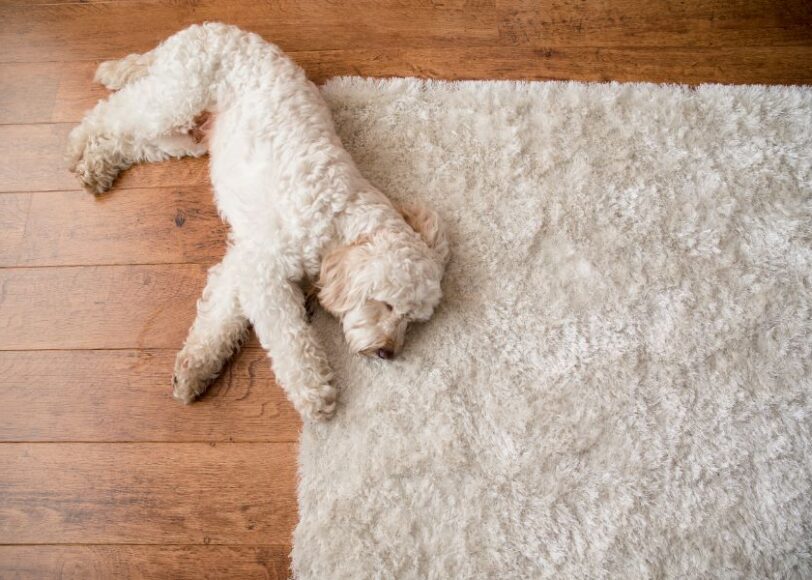 interieur styling (1)