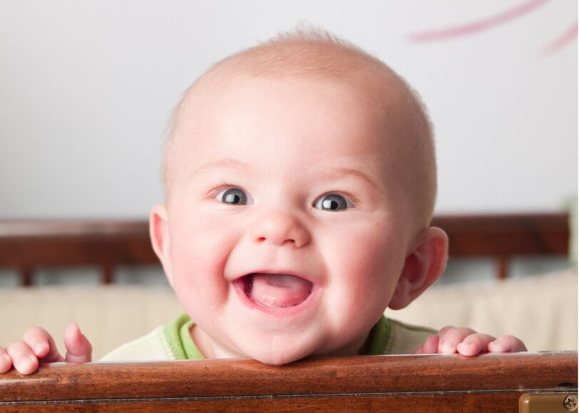 Babykamer dieren thema