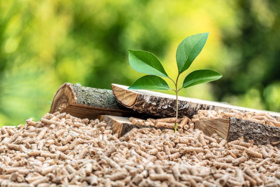 Kies hout uit duurzaam beheerde bossen voor milieuvriendelijke houtkachels, met houtpellets, boomstammen en groene planten als symbool voor duurzaamheid