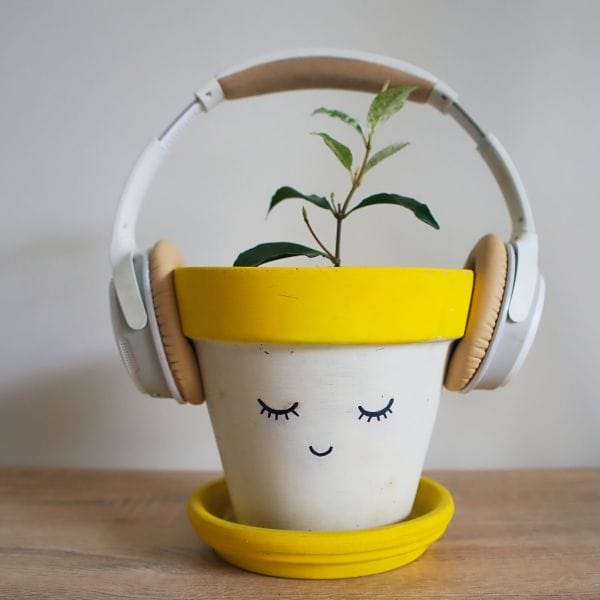 Decoratieve plantenpotten