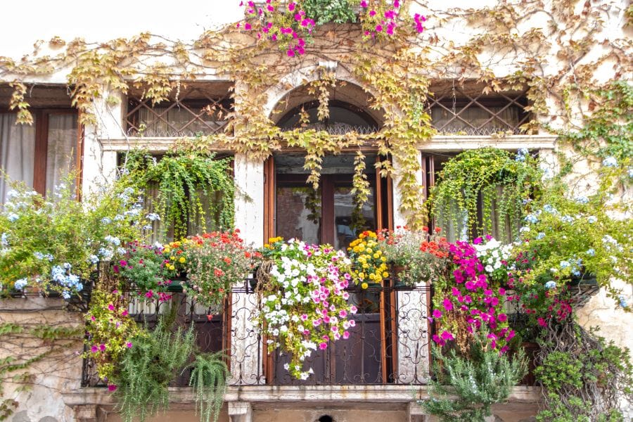 klimplanten balkon