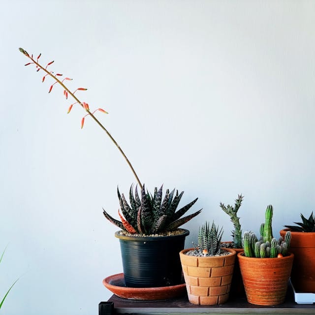 Duurzaam wonen tips
