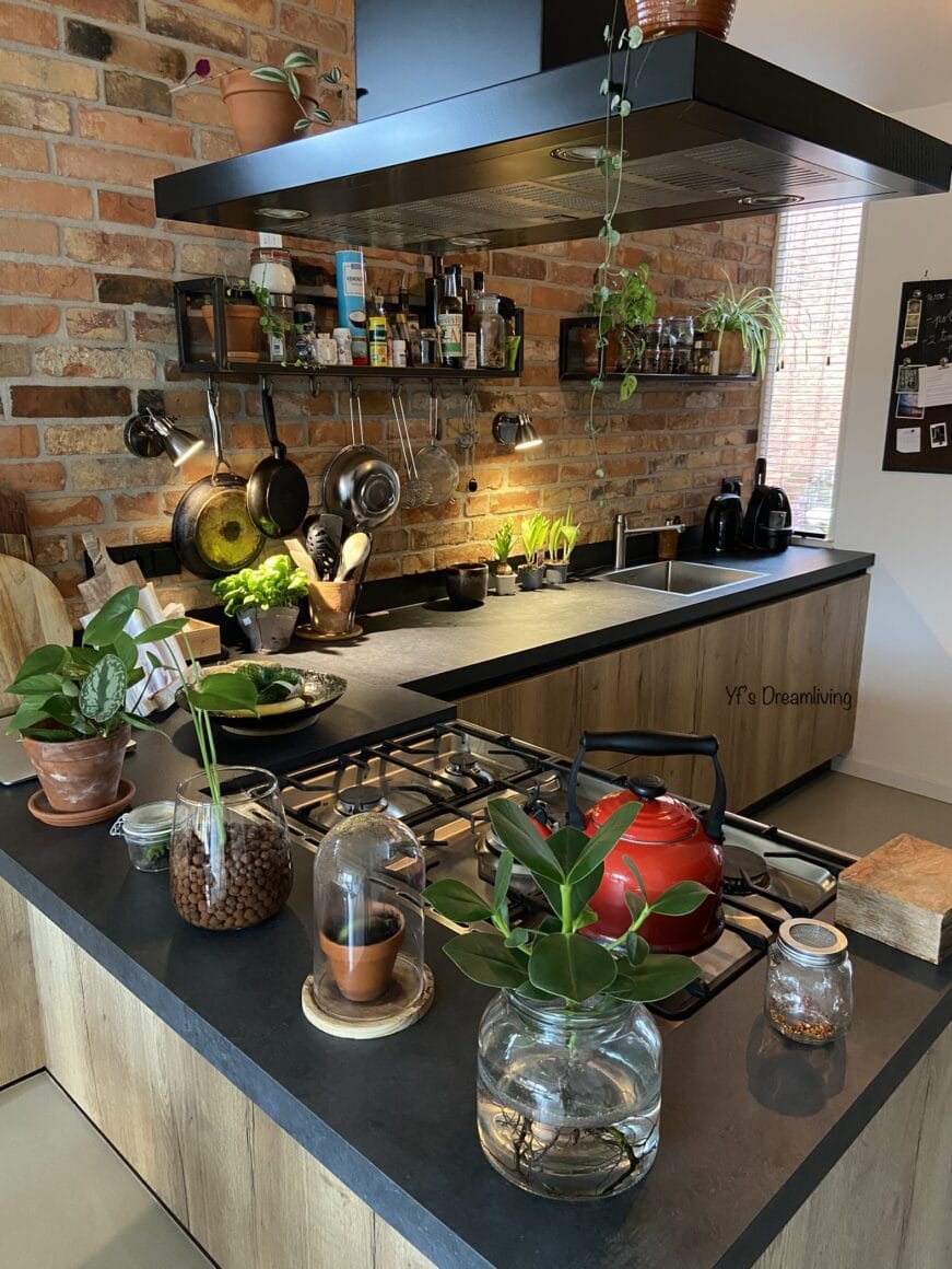 Duurzaamheid kamerplanten