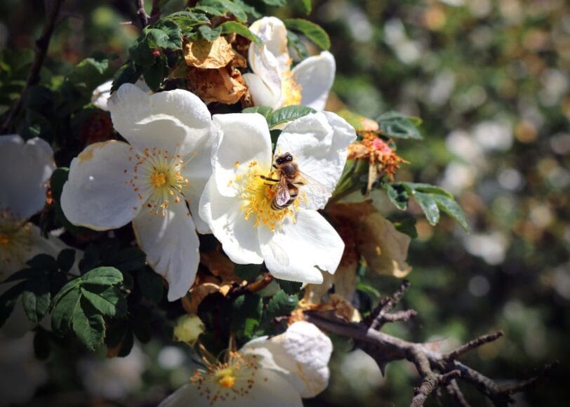 Buitenshuis verduurzamen