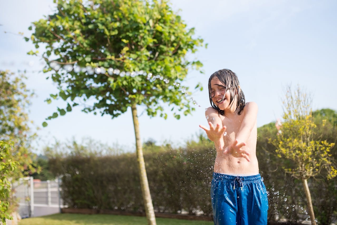 Tips juiste bomen tuin