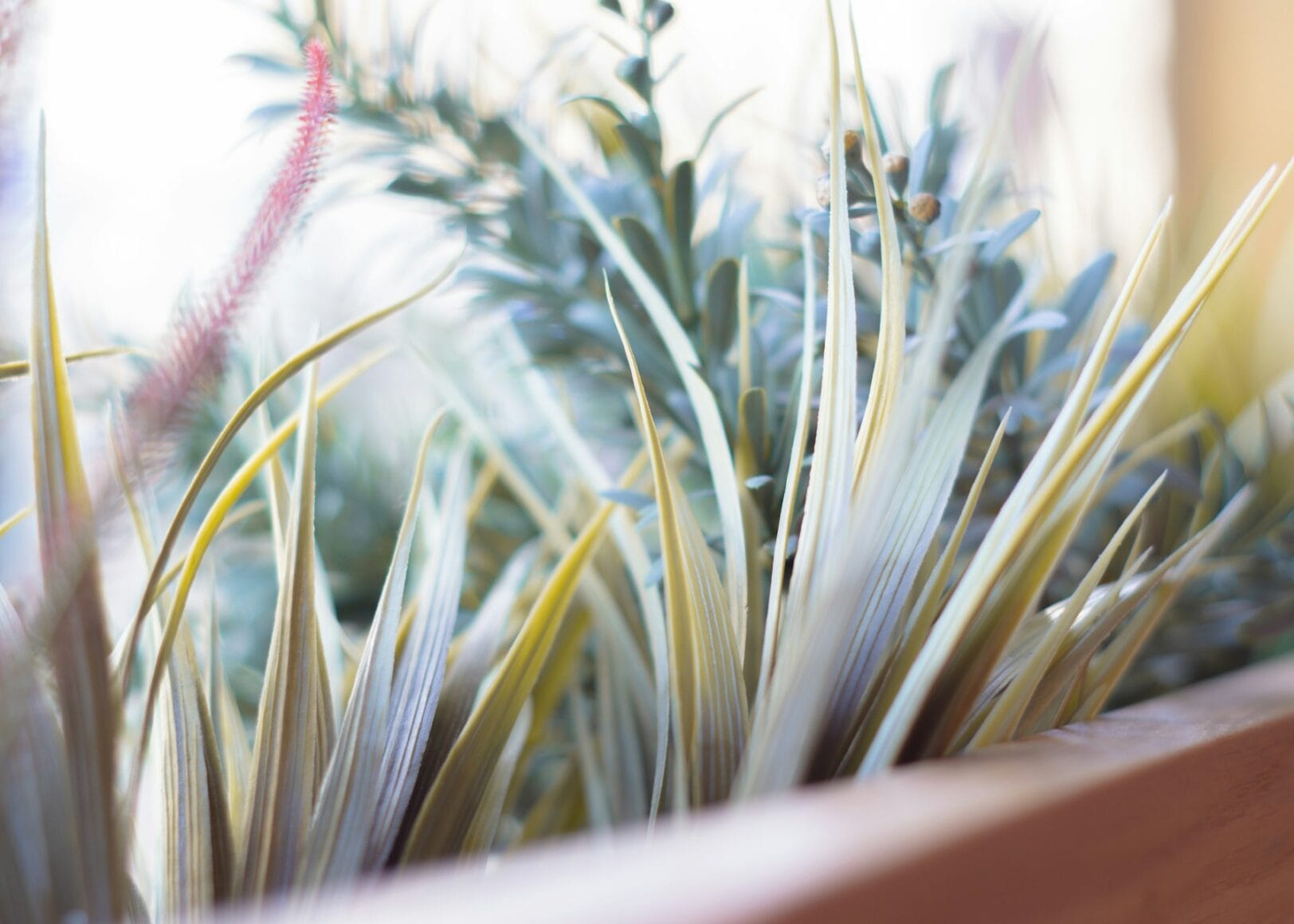 Frisse ideeën interieur