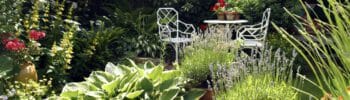 Groots genieten kleine achtertuin