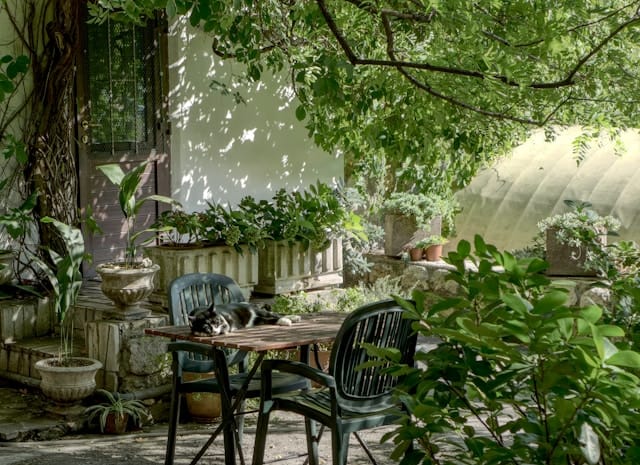 Groots genieten kleine tuin