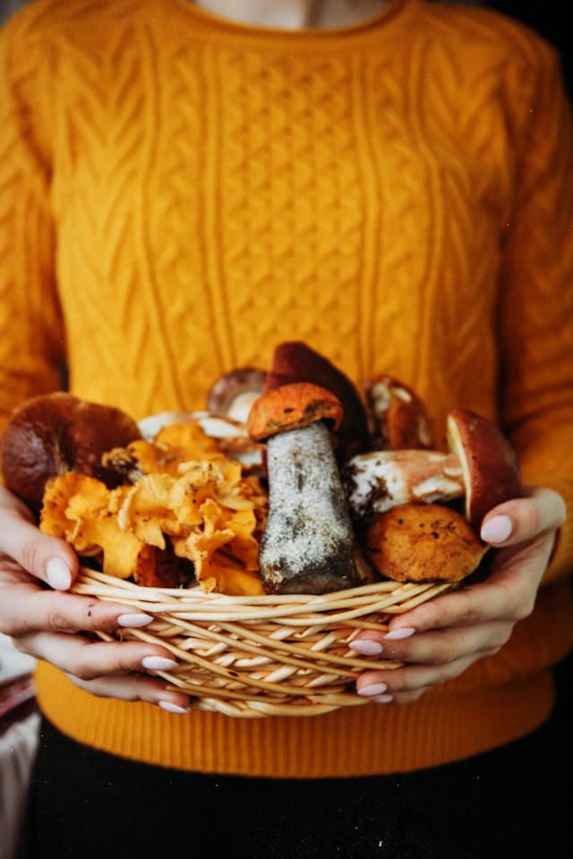 Herfstsfeer in huis