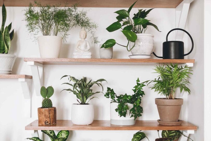 Zo maak je je huis groener