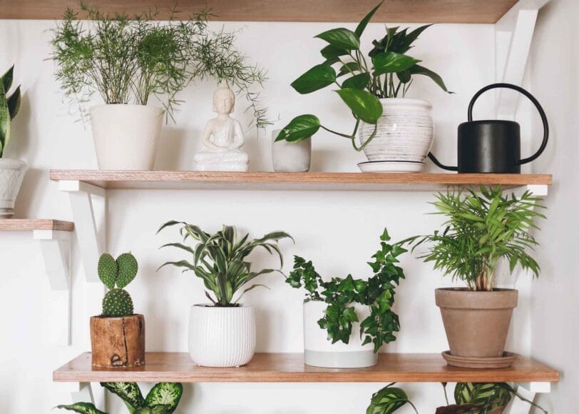 Zo maak je je huis groener