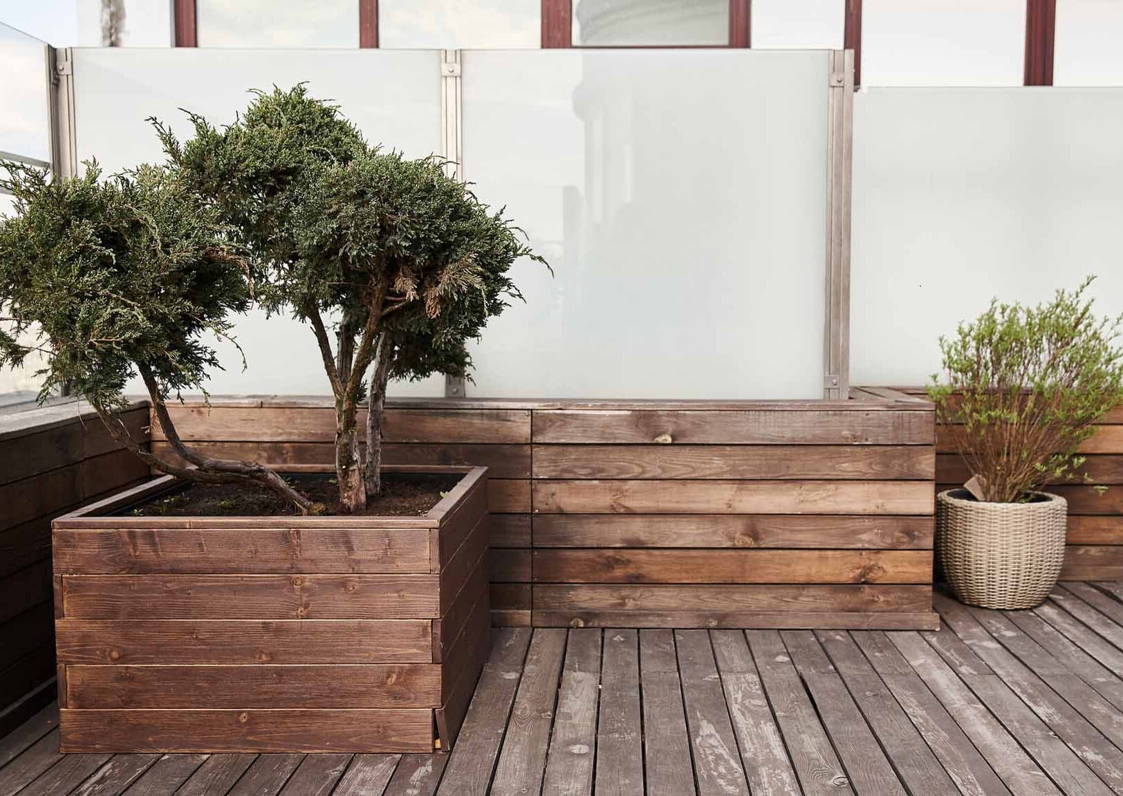 Plantenbakken trends