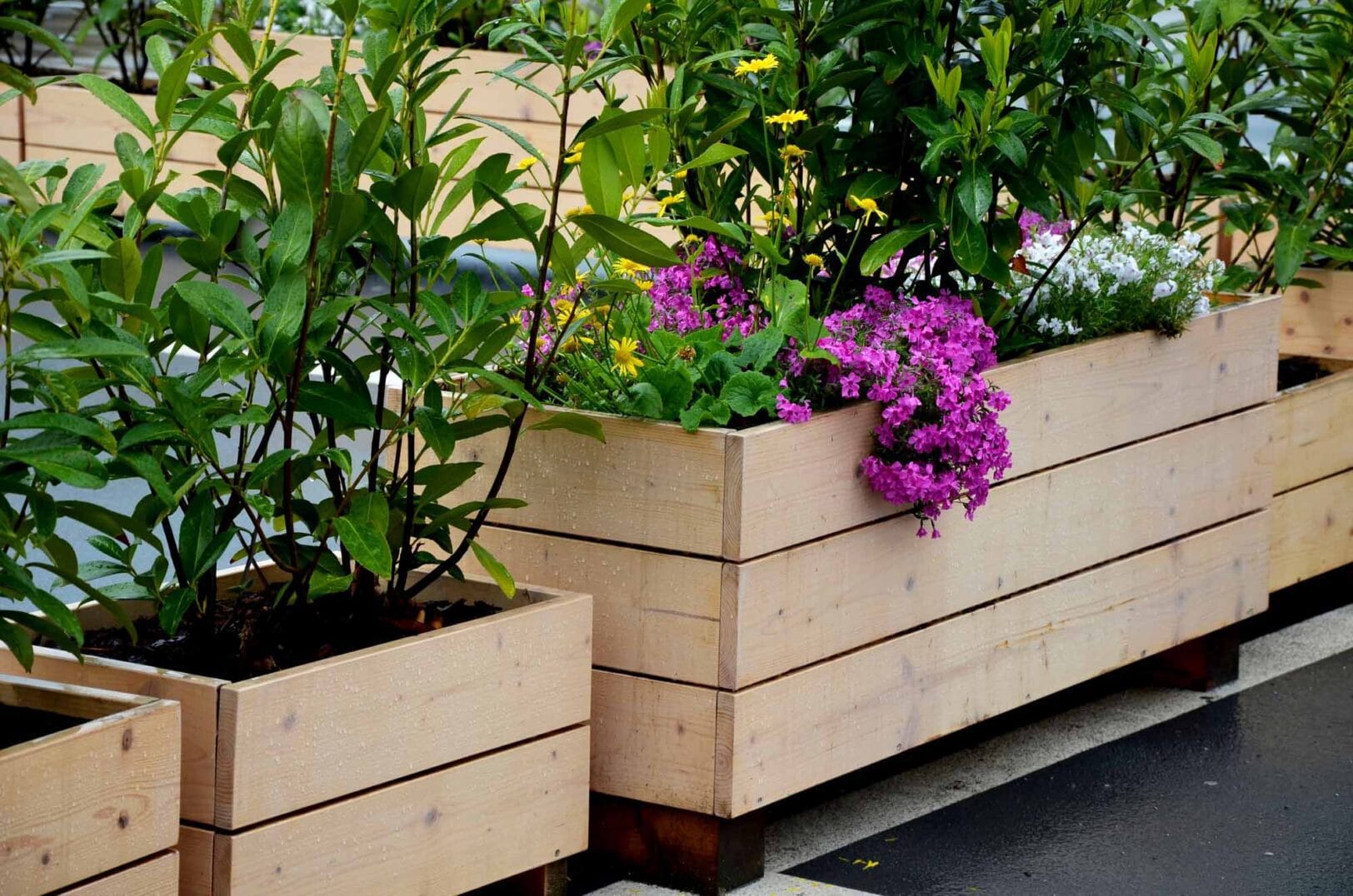 Styling tips voor een plantenbak