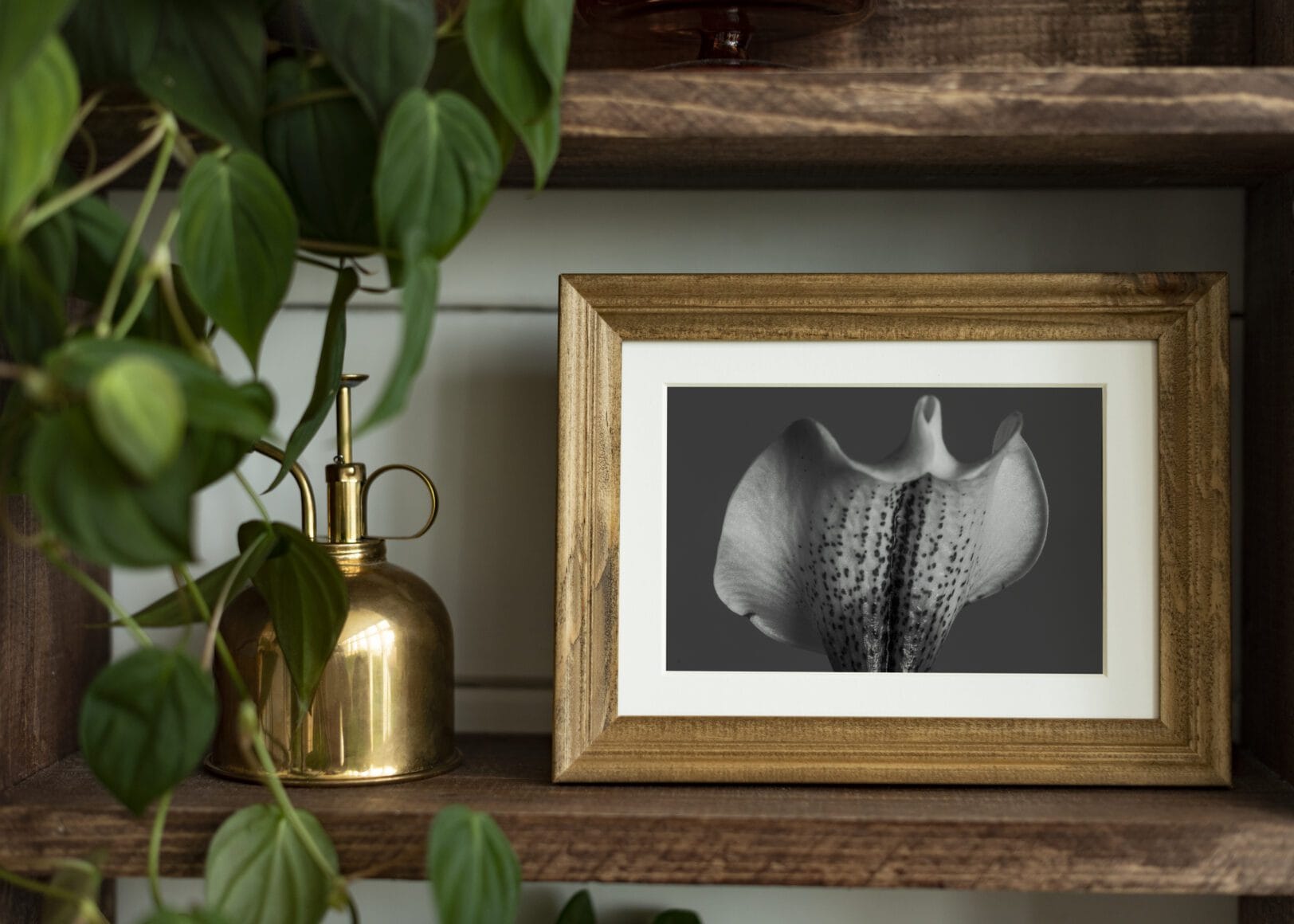 Woondecoratie met foto's