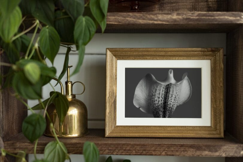 Zo kun je met je eigen foto’s de leukste woondecoraties maken 👩‍❤️‍👨