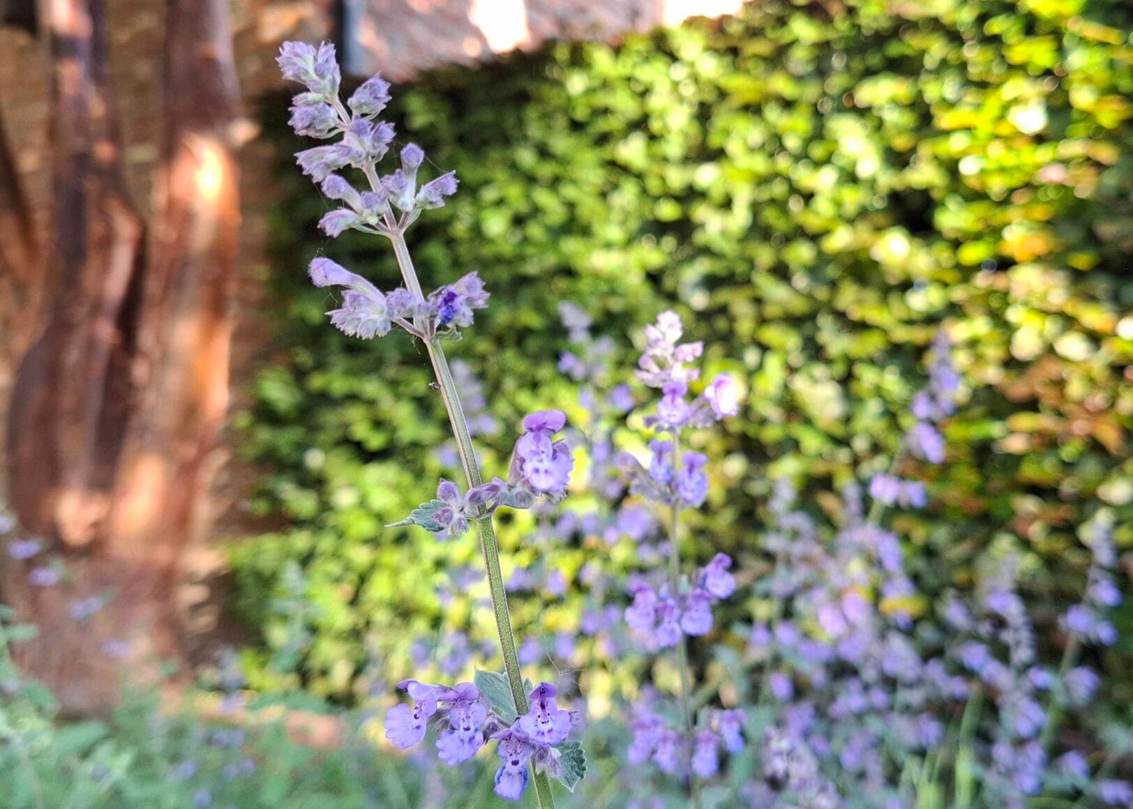 Lente en zomer in huis en tuin