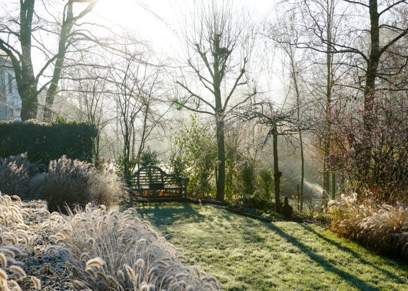 Het hele jaar door een fijne tuin