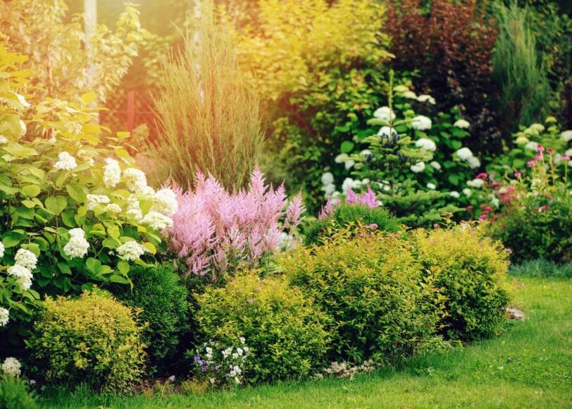 Verzorg de bodem in je tuin en geniet van gezondere planten